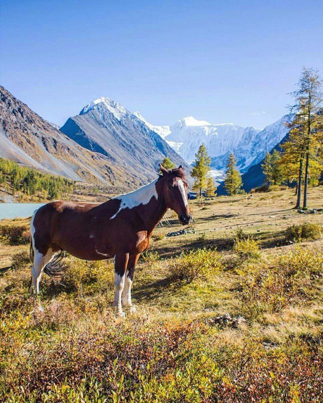 Республика Алтай, Россия